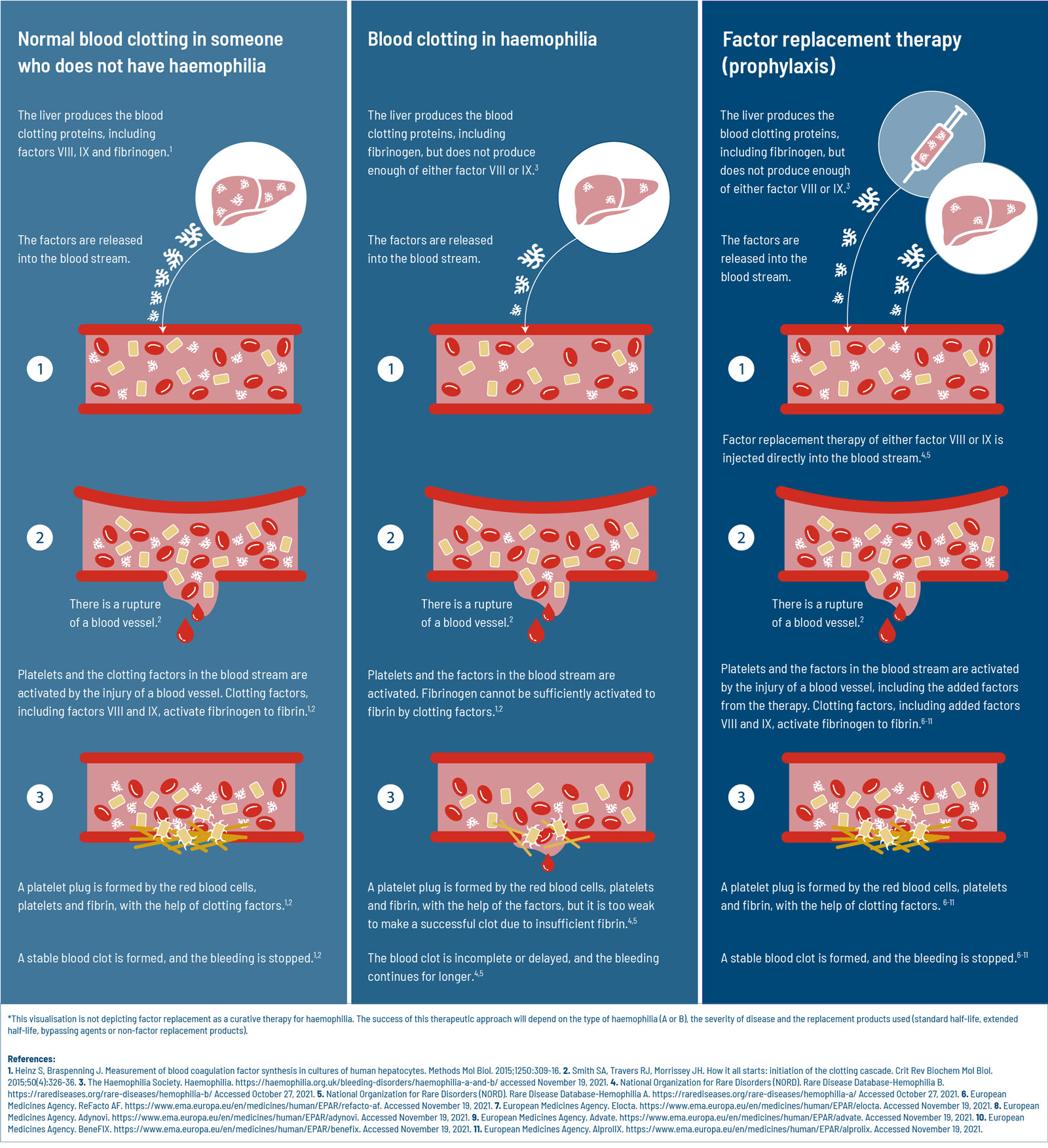Difference between Normal blood clotting in someone who does not have haemophilia, blood clotting in haemophilia and factor replacement therapy (prophylaxis)