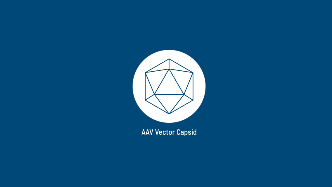 Adeno-Associated Viral (AAV) Vector Capsid